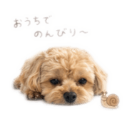 844269991