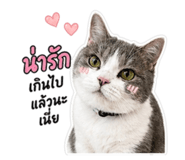 844277676