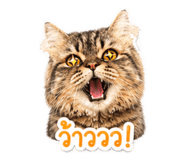 844278119