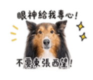 844278765