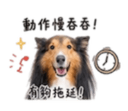 844278766