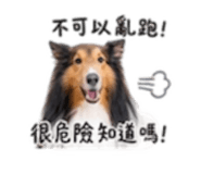 844278771