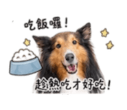 844278778
