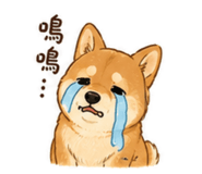 844279035