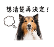 844279691