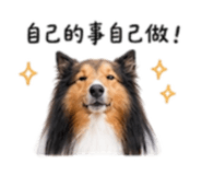 844279695