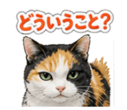 844280048