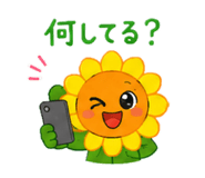 844280080