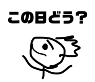 844280322