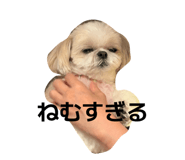 844280432