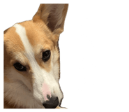 844280805