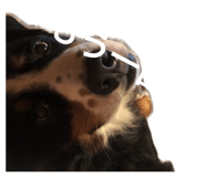 844280806