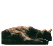 844280807