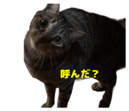 844280883