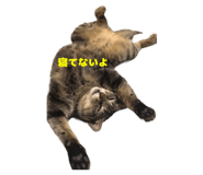 844280884
