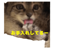844280887