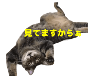 844280888
