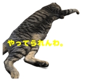 844280890