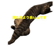 844280891