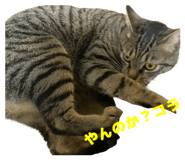 844280894