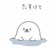 844281046