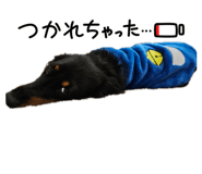 844281208