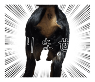 844281212