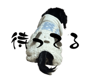 844281214