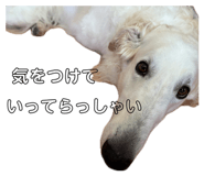 844281275