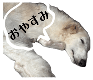844281276