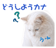 844281380
