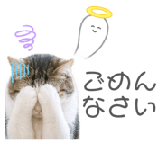 844281387