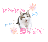 844281391