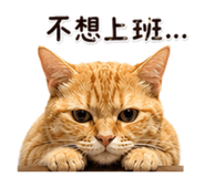 844292555