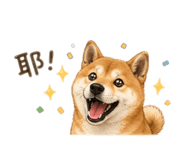 844292809
