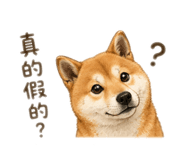 844292810