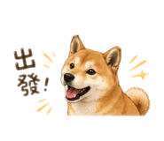 844292812