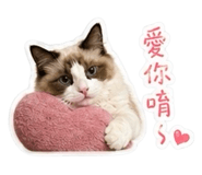 844293604
