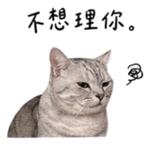 844293869