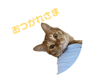 844293915