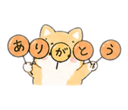 844294513