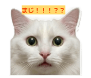 844295422