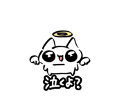 844295512