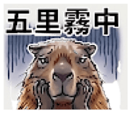 844295594