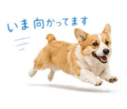 844295814