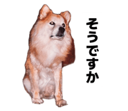 844295855