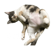 844295950