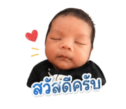844296529