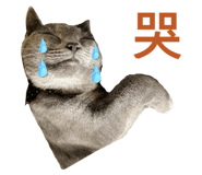 844297558