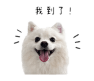 844297730